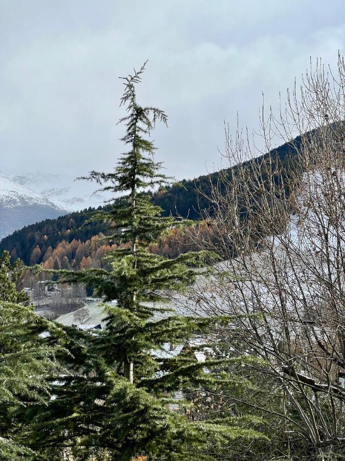Il Pettirosso - Casa Vacanze Bormio Dış mekan fotoğraf